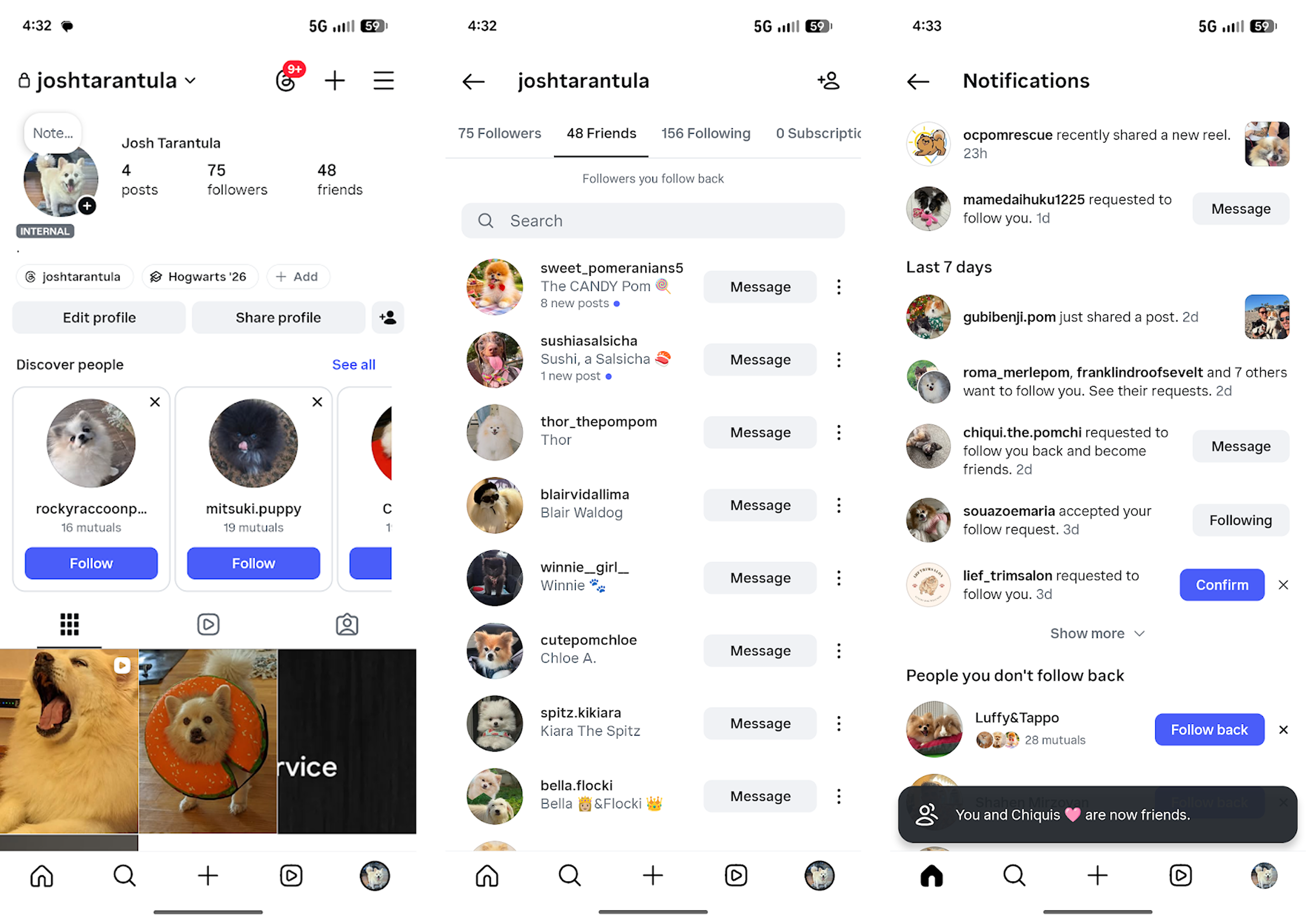 Friends appearing in profile, bio, and notification feed